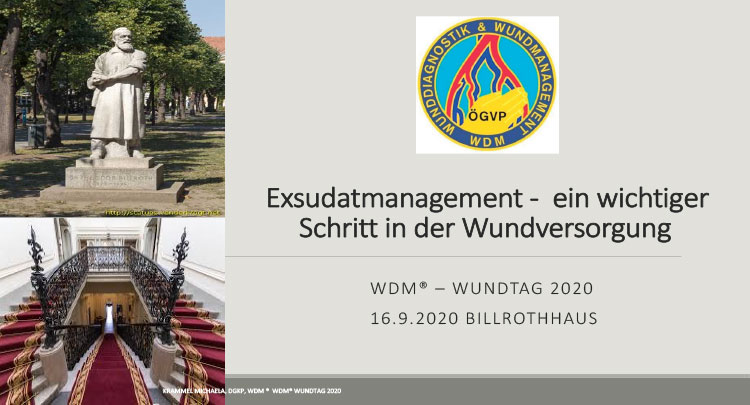 Krammel_Exsudatmanagement-ein-wichtiger-Schritt-der-Wundversorgung