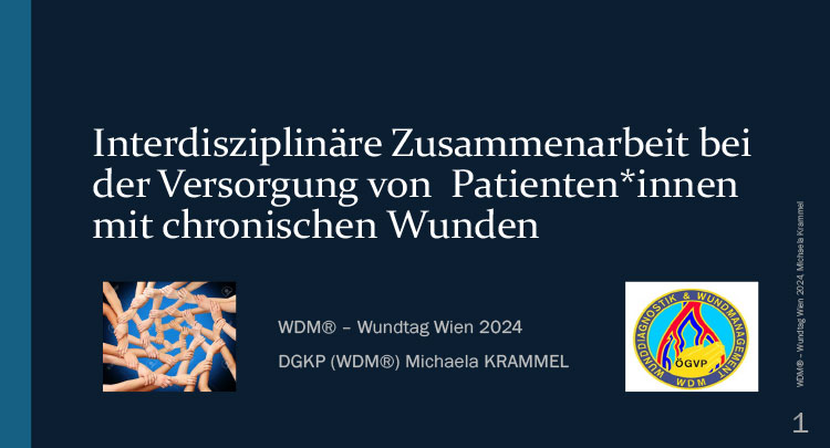 Krammel_Interdisziplinäre-Zusammenarbeit-bei-der-Versorgung
